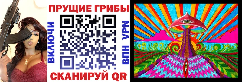 где купить наркоту  Заречный  OMG сайт  Галлюциногенные грибы Cubensis 