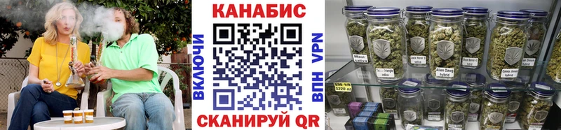 Каннабис сатива блэк спрут рабочий сайт Заречный